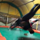 방방이네 이미지