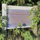 표선동물병원 | 서귀포 표선 가세오름 vs 갑선이오름｜애견동반 비교 후기