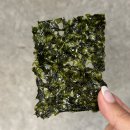 김사또김밥