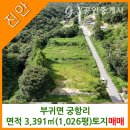 참신한공인중개사사무소 이미지