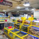 아라회대게 이미지