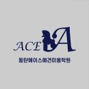 화성애견미용학원 동탄에이스애견미용학원 국비지원부터 자격증까지