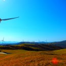 가을목장 이미지