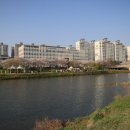 2024 새봄콘서트 이미지