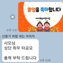 디자인 선샘