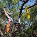 유천버스정류장 이미지