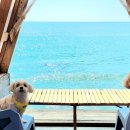 바다소리별채 이미지