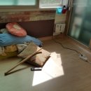 이지농장 이미지