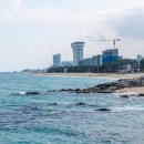 사근진해변 해중공원 이미지