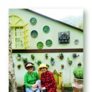 봉평메밀숲 이미지