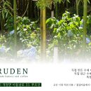 엔제리너스김제