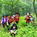 시흥능곡고등학교 이미지