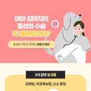 배곧도담동물병원 이미지