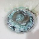 해남참숯불가마사우나 이미지