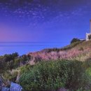 우쿨렐레(주간) 이미지