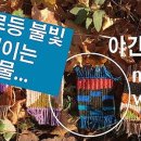 업사이클링 플레이 이미지