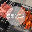 용운양꼬치 이미지