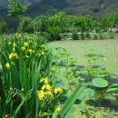 풍류정민박 이미지