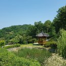 파주 이미지