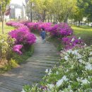 판교동 주민센터 이미지