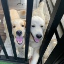 한스바다펜션 이미지