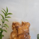 전주시덕진진료실 이미지