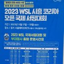 웨이브파크 WSL (World Surf League) 관람후기