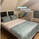화가와 꽃 | 화가와꽃펜션 남해 바다 근처 가성비 펜션