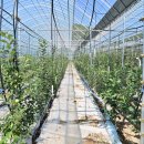 수형축산 이미지