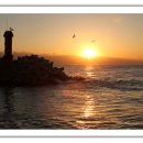 동해일출 이미지