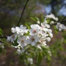 부여고등학교 이미지