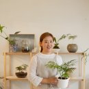 정글라