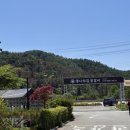 남춘천닭갈비 - 마포구 월드컵로 118 | 춘천 맛집 | 통나무집닭갈비 남춘천점 철판닭갈비 웨이팅 솔직후기