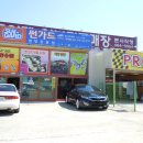 금빛칼라 Daum카페