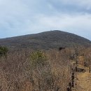 가사문학면사무소 이미지