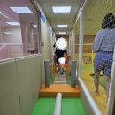 화곡3동 | 강서구민이 말하는 다자녀 무료키즈카페 &#39;서울형 키즈카페 화곡3동점&#39; 솔직후기