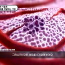 시흥슈퍼