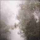 하나주유소 이미지