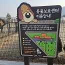 서산시농업기술센터 | 서산 농업기술센터 반려견 놀이터 소개합니다
