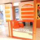켈리 독, 강남 애견호텔 애견유치원 이미지