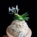 천지관