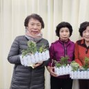 대조동 주민센터 이미지