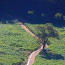 연강나룻길 A코스 이미지