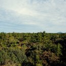 돌담너머바다 이미지