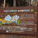 화백나무 유아숲체험원 이미지
