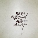 선캘리