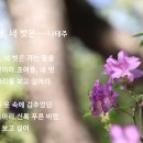 상마 Daum카페