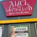 비디오션미디어