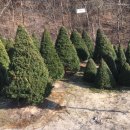 녹지원 농장 이미지