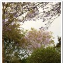 호텔(HOTEL)801 이미지